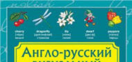 Visual Russian English dictionary
