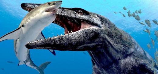 Топ-6 мифов о динозаврах: как мы можем их опровергнуть?