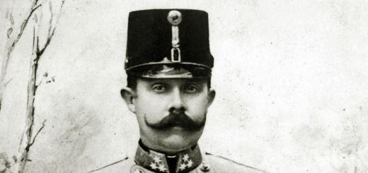 Literary and historical notes of a young technician Who shot the Austrian Archduke in Sarajevo