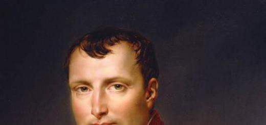Mitovi i zanimljive činjenice o Napoleonu Bonaparteu Dodatni materijal o Napoleonu