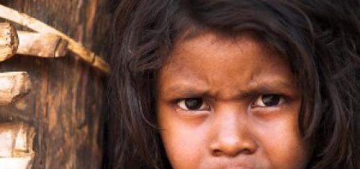 The most famous Mowgli children: how did the fate of kids who grew up among animals There is such a term Mowgli syndrome, see photo
